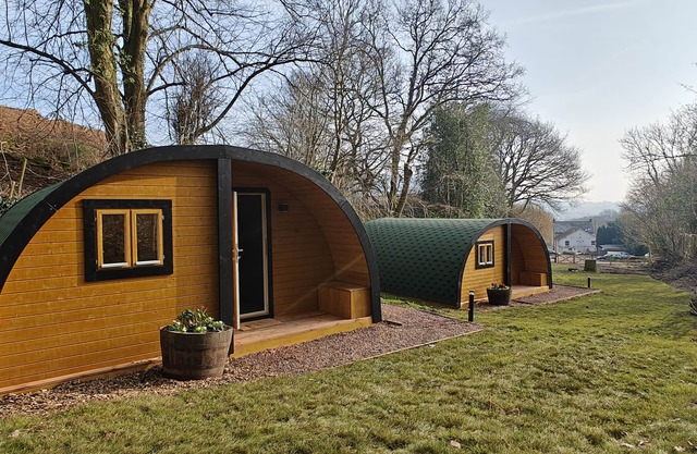 Elm - Pantygelli Escapes