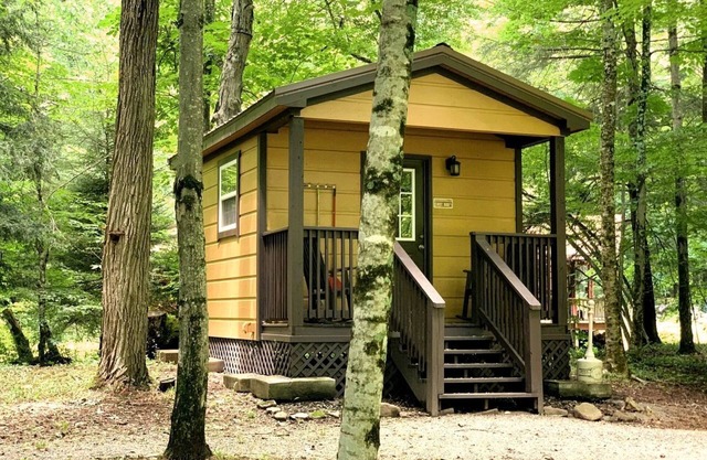 Embrace Nature in this Cabin in Monterville, West Virginia