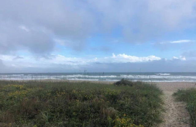 Emerald Mermaid cozy studio apt private beach access including parking & shower