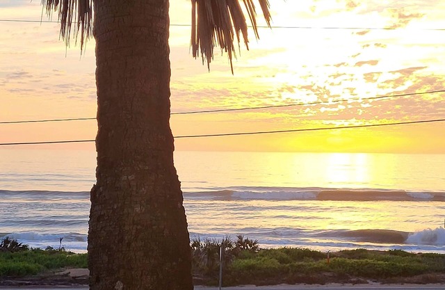 Enjoy your beach adventure, in a cozy ocean-front condo at Ormond-by-the-Sea.