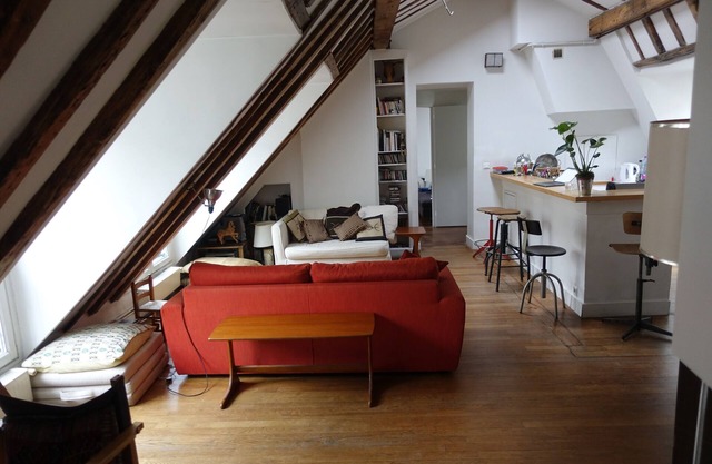 Entire Apartment Under The Parisian Roofs