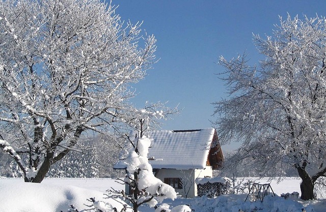 Erholsames Ferienhaus in Feldwies