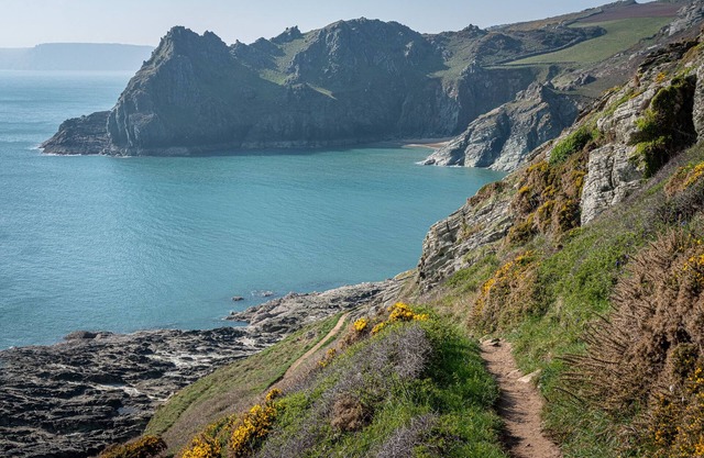 Escape from it all! Coastguard cottage in AONB at Prawle Point with sea views