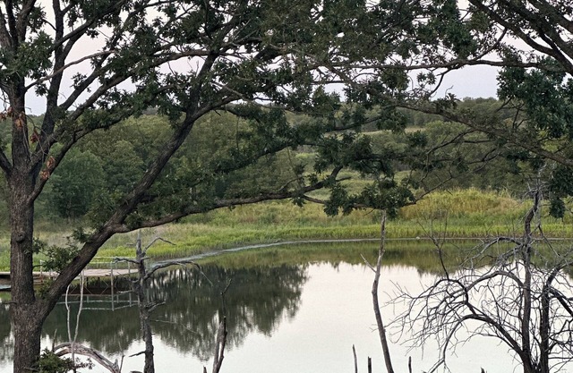 Escape to Little Oak Farm, a peaceful retreat in Fall River, KS.