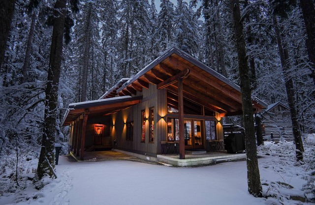 Escape to Luxury in the Woods: Hot Tub, EV Charger, & Fireplace!