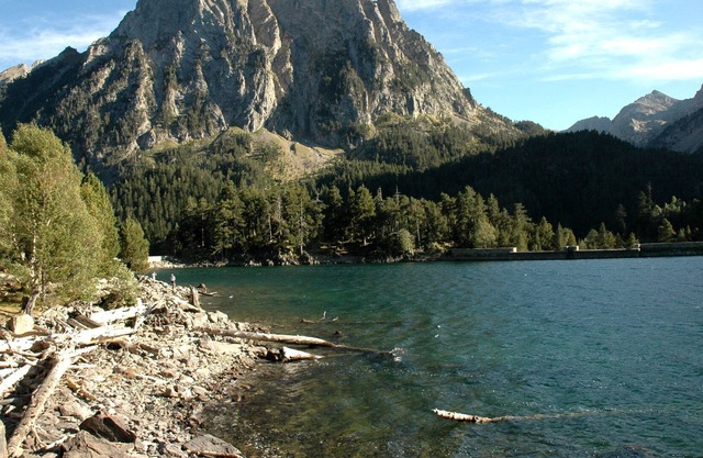 Except Tuca 407 Betren