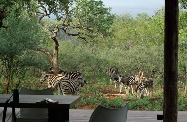 Exclusive home in wildlife estate near to Kruger Park