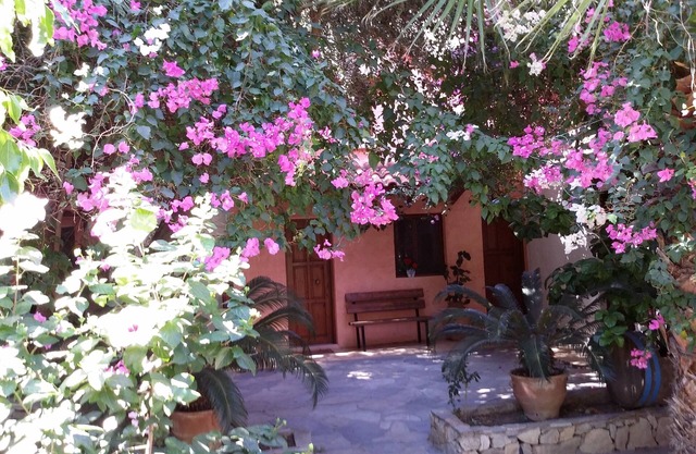 Excusive 1 bedroom Cottage in Paleochora