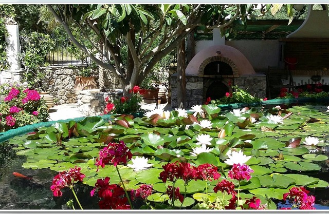 Excusive 1 Bedroom Cottage in Paleochora