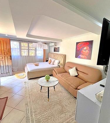 Executive Homely Studio apt