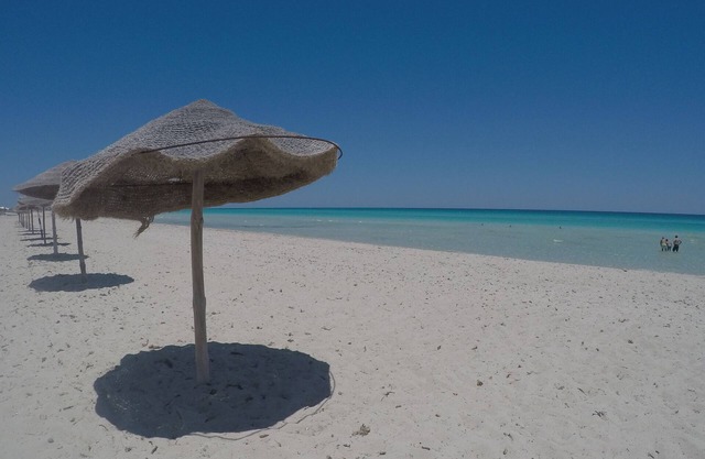 F2 floor secure residence with djerba swimming pool