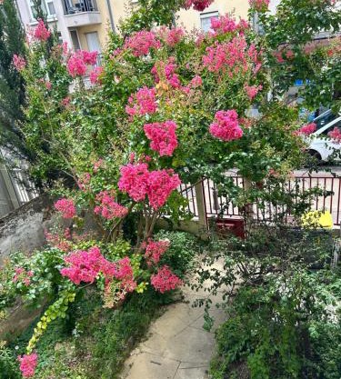 F3 au grenier d'une maison