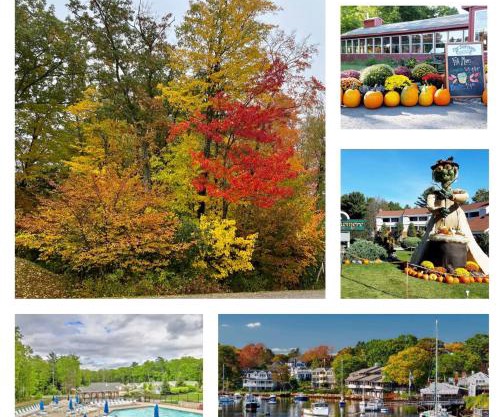 Fall Cottage that Sleeps 6 with 2 Bedrooms Sun Room Jaccuzi 1 Mile to Beach!