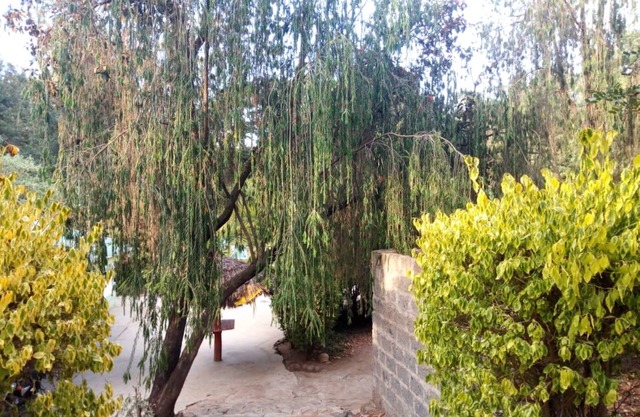 Family Comfort Hotel