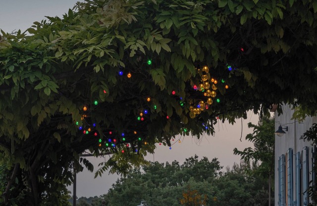 Family paradise among the vines
