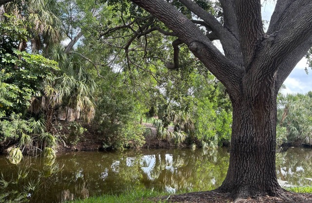 Fantastic bed & breakfast with AC in Naples