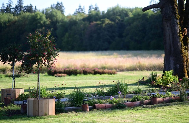 Farm Pottery House in 84 acres Land in Cornelius/Hillsboro