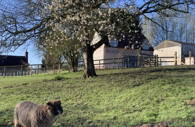 Farm stay, dark skies, stars, stunning countryside and miles of walks.