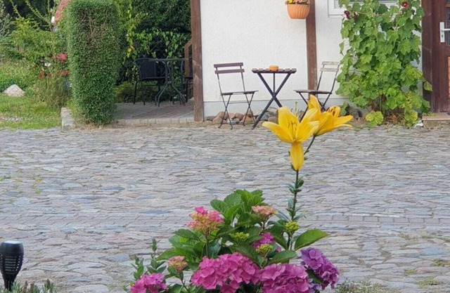 Ferienbungalow mit 35 qm und Terasse - DTS Apartments