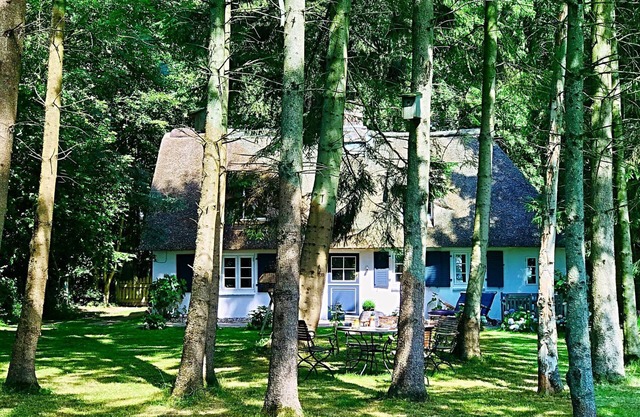 Ferienhaus "küstenwäldchen" in Rabenkirchen-faulück