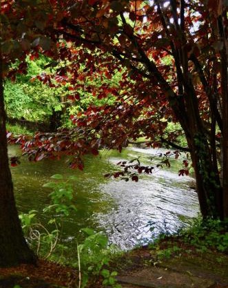 Ferienwohnung an der Örtze