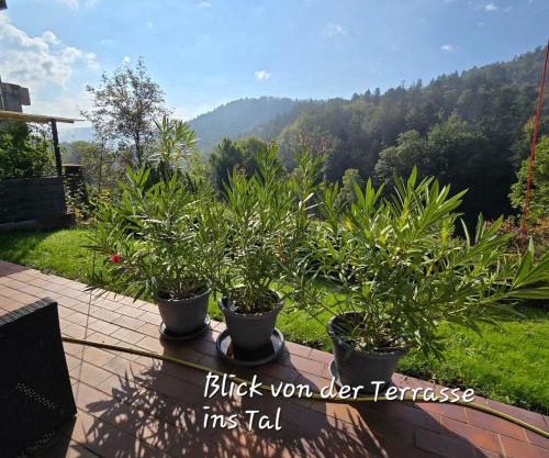 Ferienwohnung Burkhardt