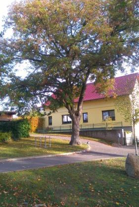 Ferienwohnung Perlitz