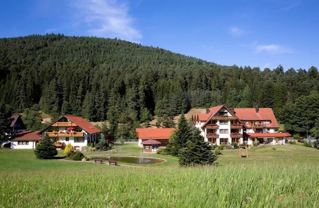 Ferienwohnung Typ C 41, 40qm, 1 Wohn-/Schlafzimmer, max. 3 Personen