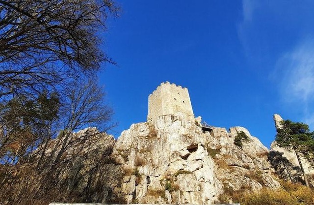 Ferienwohnung Wildgatter