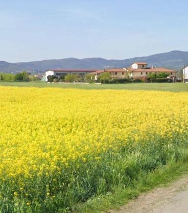 Fienile Paradiso Home Tuscany