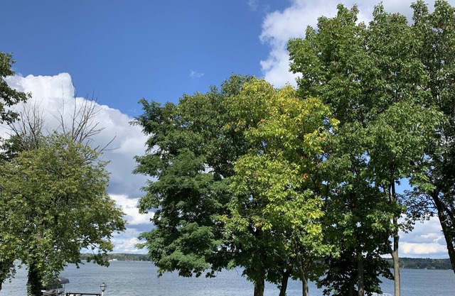 FingerLakes Home close to everything!