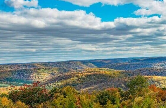 Fire Pit*1G WiFi*Stargazing Cottage Cherry Springs