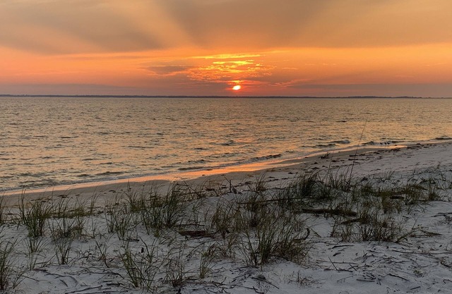 FL. Cottage, 3 Blocks to Gulf + Pet Friendly w/Fenced Lawn & Boat Parking,