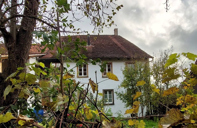 Flat "Giselas Ruheplatz"