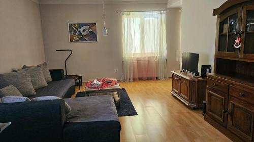 Flat is located in the city center