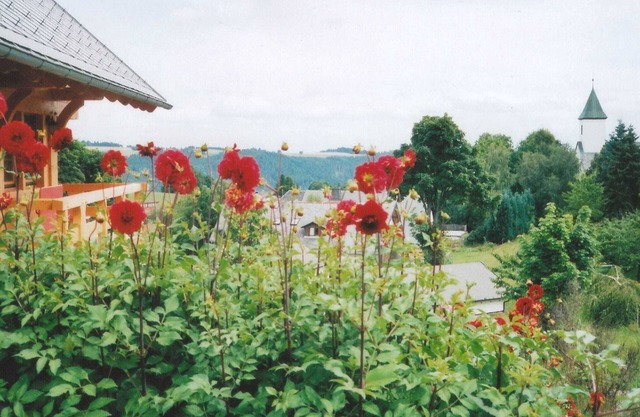 Flat near the ski area in Urberg