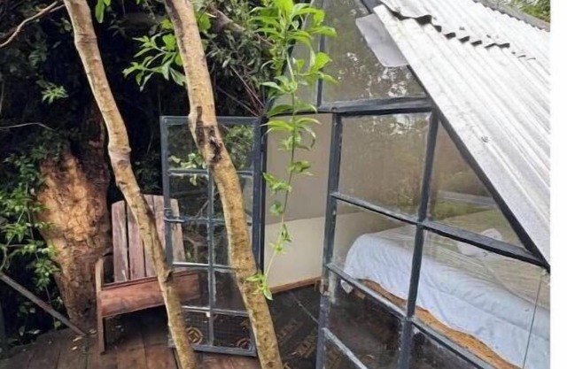 Forest small house-Lenana