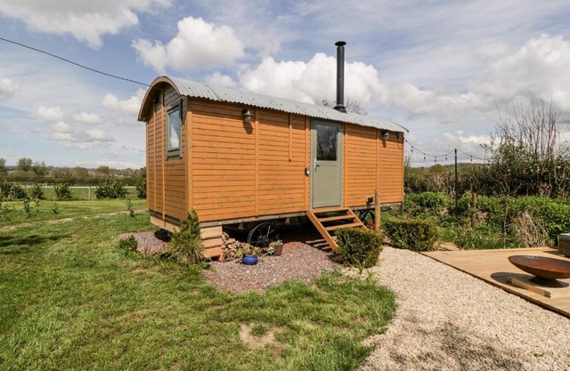 Forton Shepherds 