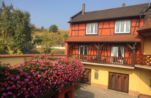 Furnished all mod cons apartment in a half-timbered Alsatian house