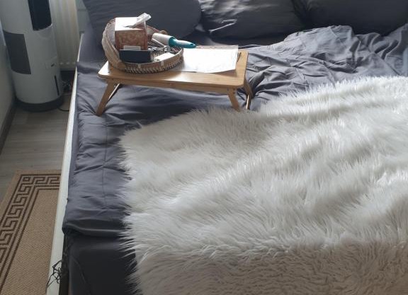 Gästezimmer bei Katzenliebhaberin und Chihuahua