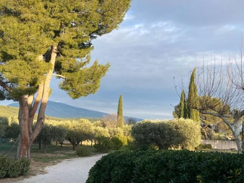 Gîte au milieux des oliviers.