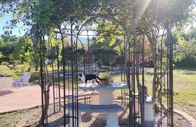 Gîte en Provence - Rose