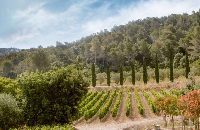 Gîte Maison des Vendangeurs