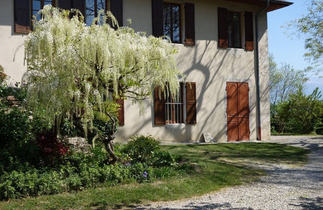 Gîte - SAINT SULPICE - Gîte