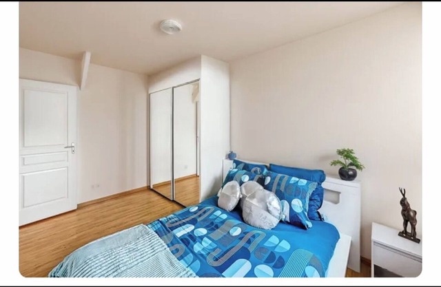 Garden apartment sleeps 3 Near eurexpo groupama stadium