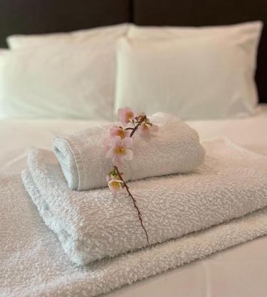 George Canning Denmark Hill, London