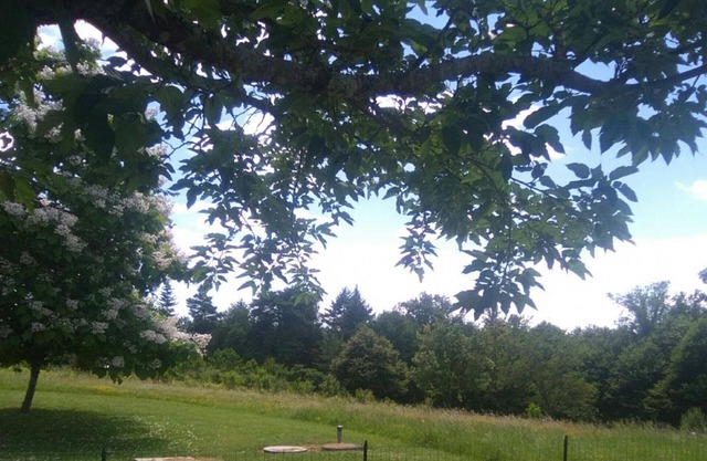 Gite Champagnac-de-Belair, 2 bedrooms, 5 persons
