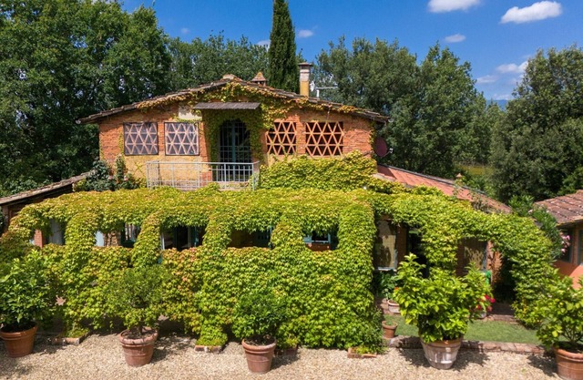 Giunchette Meri Cavriglia 