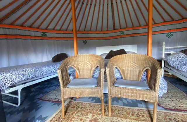 Glamping in a Mongolian yurt or shepherds hut in rural location in South Devon.