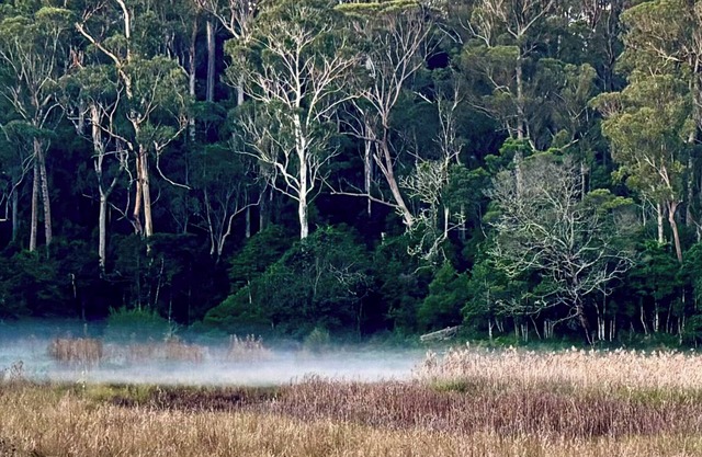 Glamping nature escape at ‘Black Wattle’ 5 minutes from pristine empty beaches
